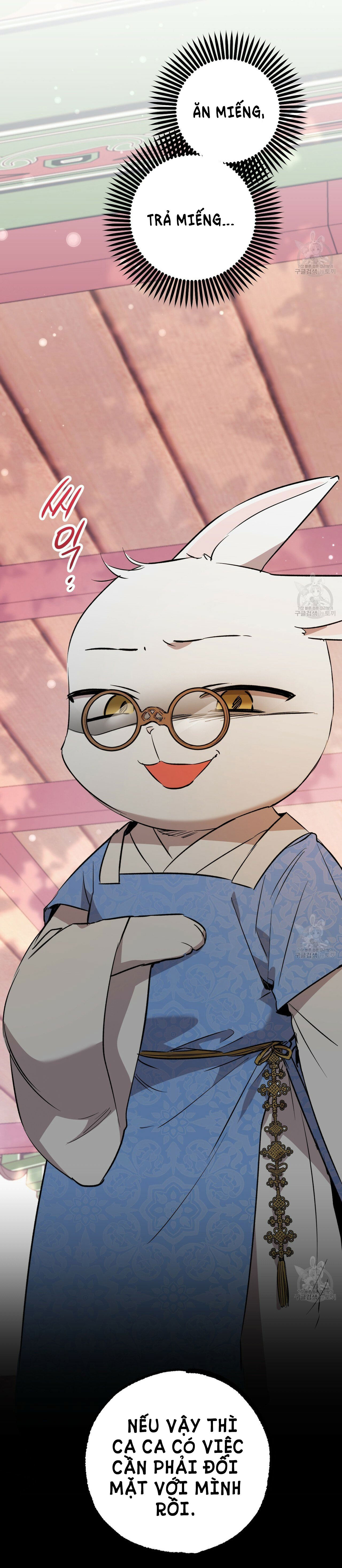 những chú thỏ của hapypy chapter 56.2 46