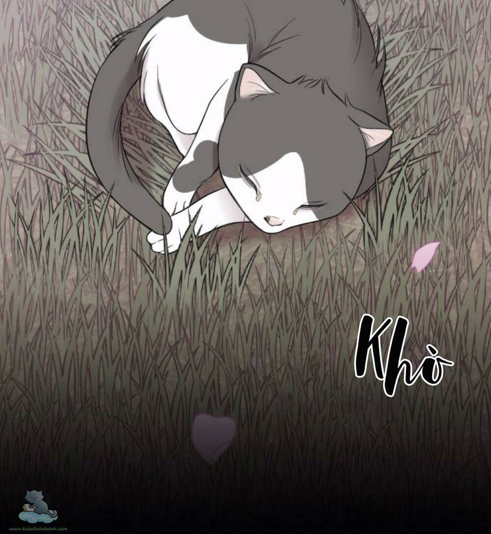 cô đi mà lấy chồng tôi đi chapter 32 17