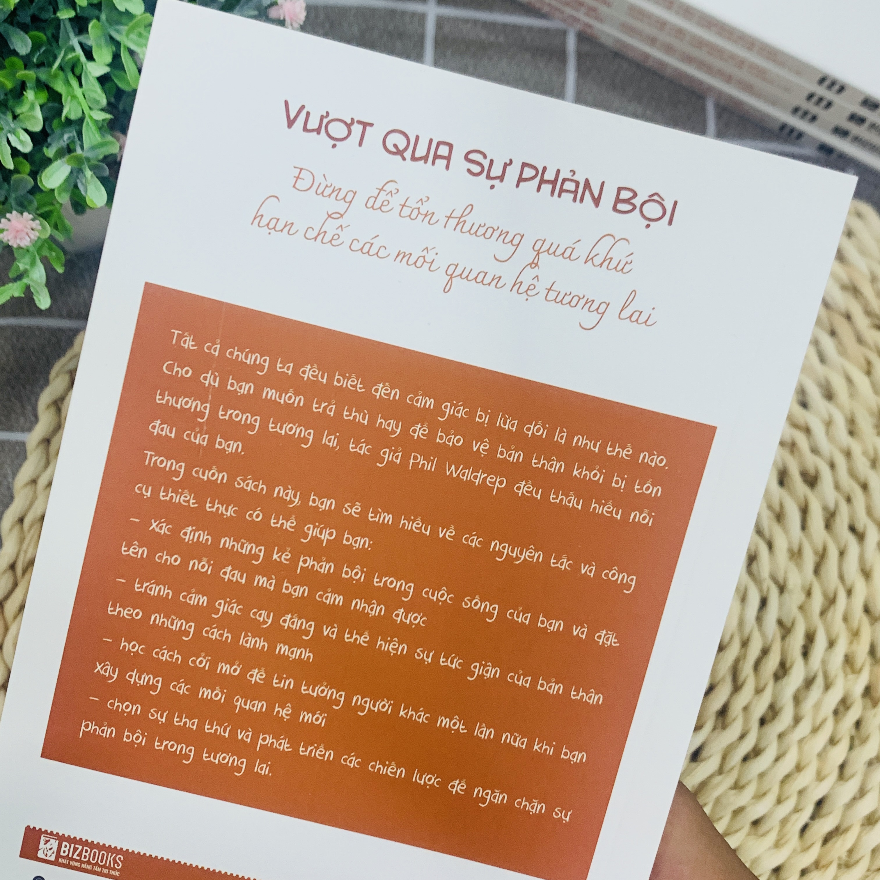 Vượt Qua Sự Phản Bội: Đừng Để Tổn Thương Quá Khứ Hạn Chế Các Mối Quan Hệ Tương Lai