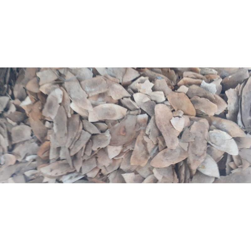 500gram sưa đỏ giống