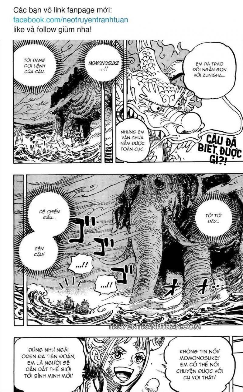 đảo hải tặc - one piece chapter 1041 2