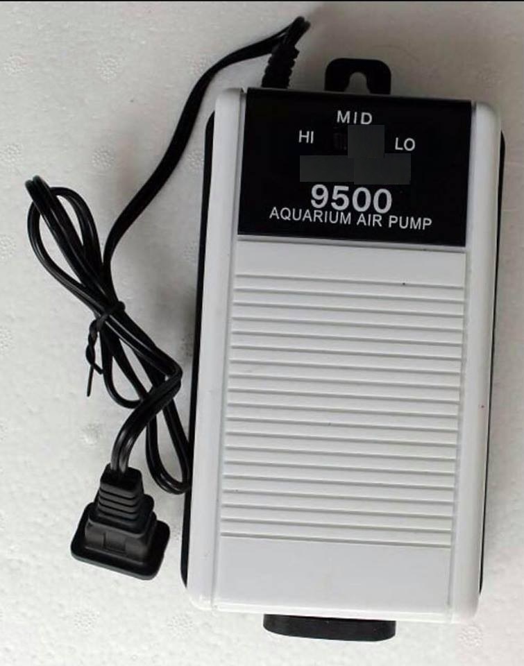 Máy sục sủi khí oxy 2 vòi 9500 cho hồ cá cảnh