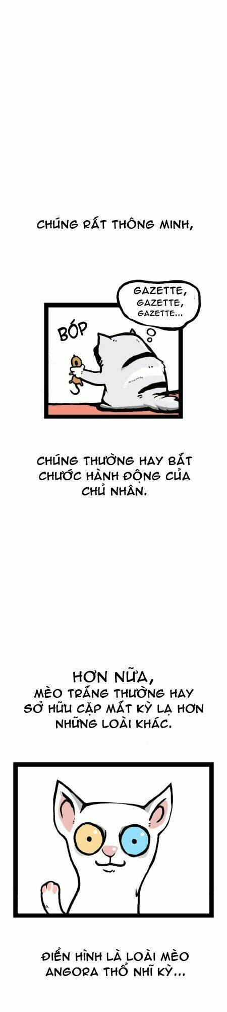 earth, human, and animal chapter 12 9