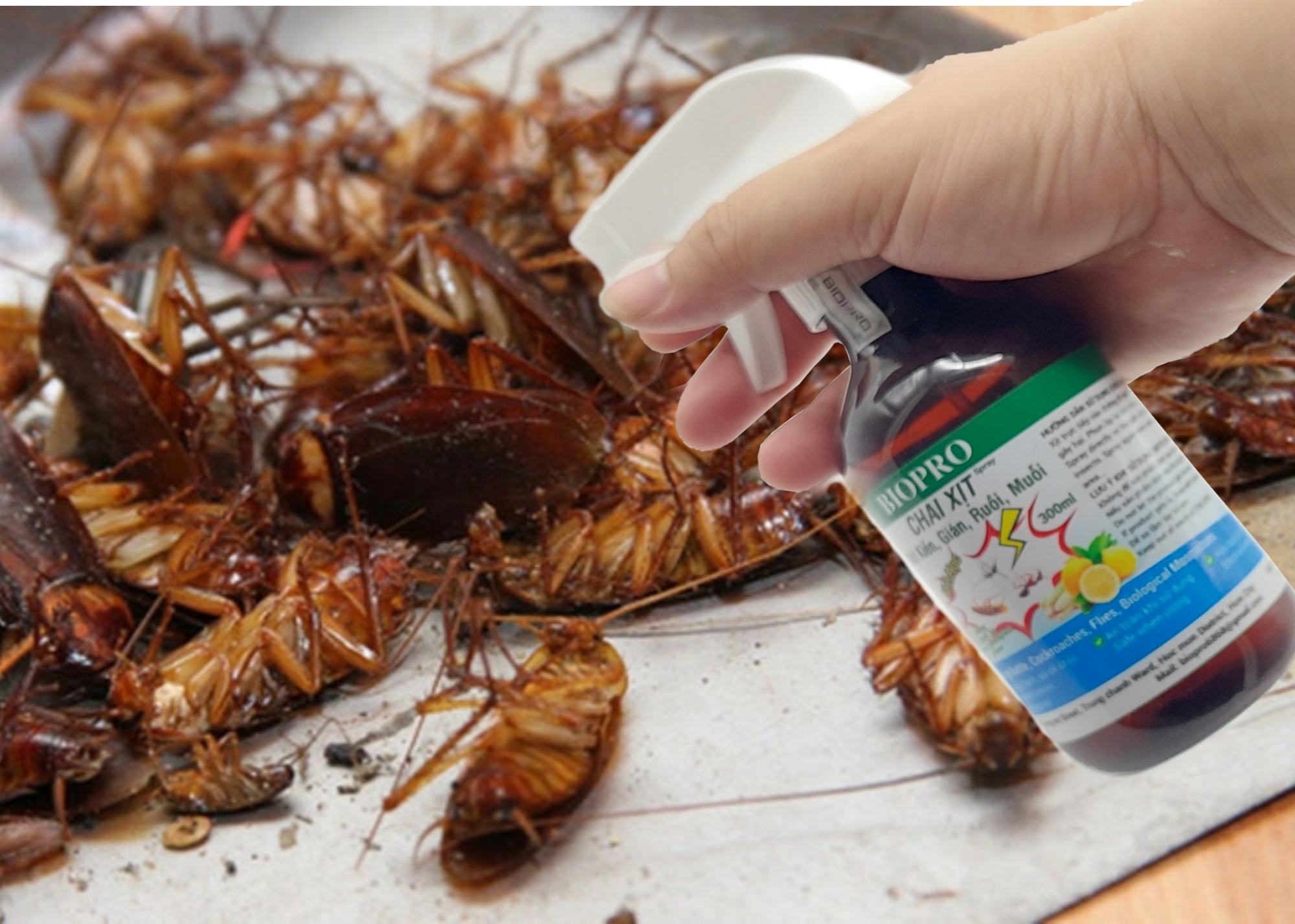 Chai xịt diệt kiến gián ruồi muỗi Sinh học Biopro Hương chanh sả Chai 300ml Diệt sạch côn trùng gây hại An toàn Hiệu quả