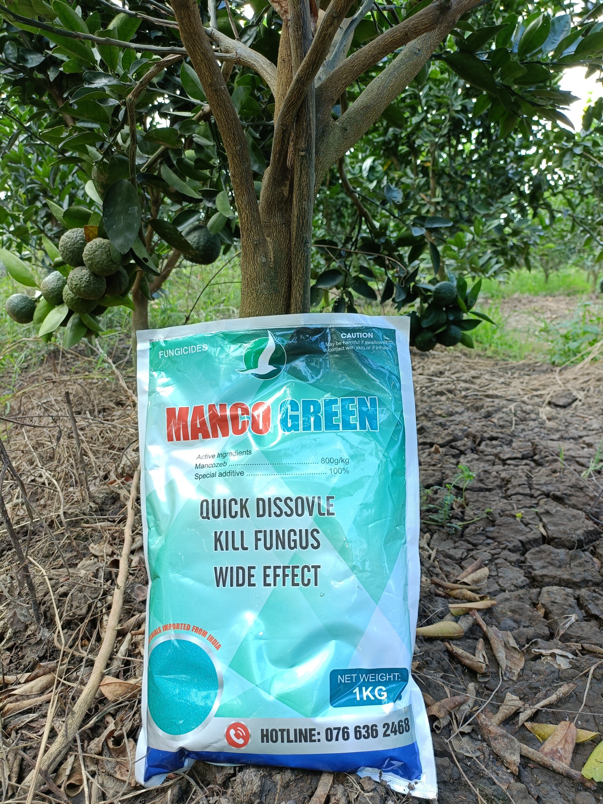 THUỐC TRỪ BỆNH MANCOZEB XANH, NGUYÊN LIỆU ẤN ĐỘ