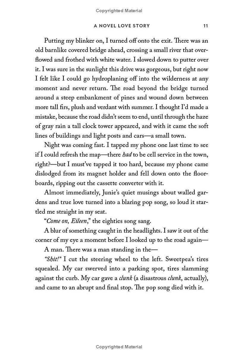 Sách ngoại văn: A Novel Love Story