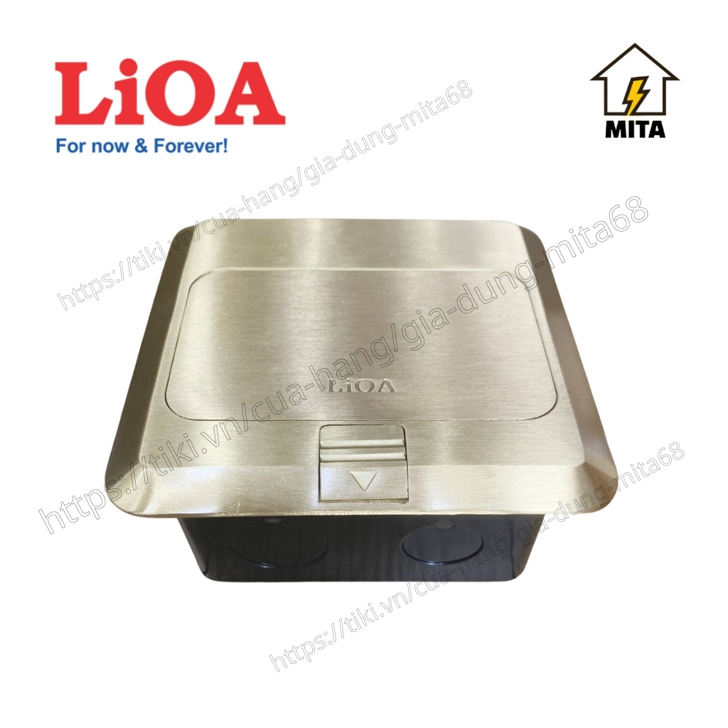 Ổ cắm điện âm sàn LiOA - Ổ đôi 3 chấu