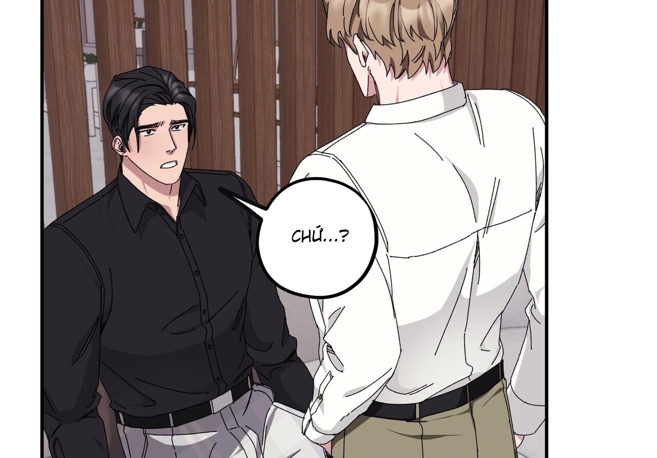 chàng dâu nhà họ kang chapter 34 162