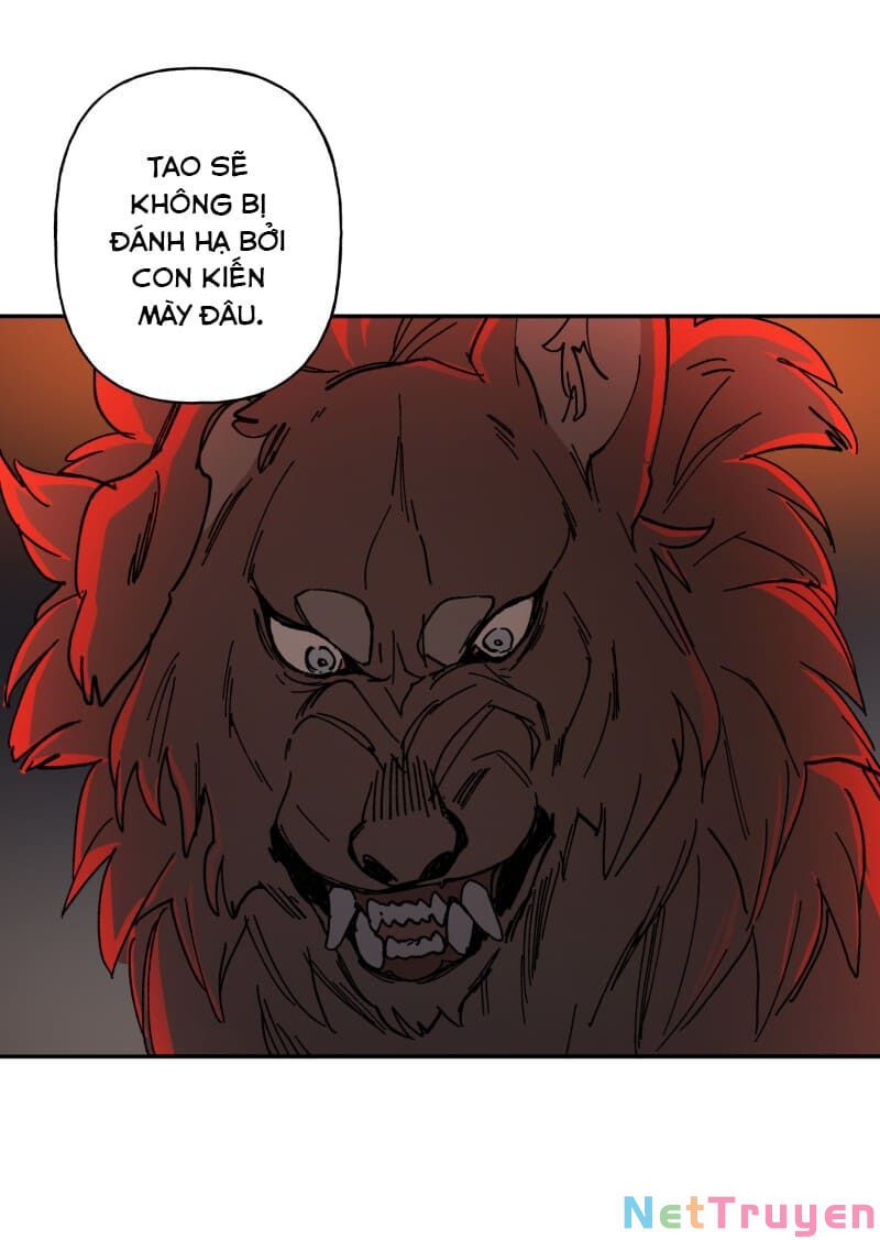 lumine - cội nguồn ánh sáng chapter 109 47