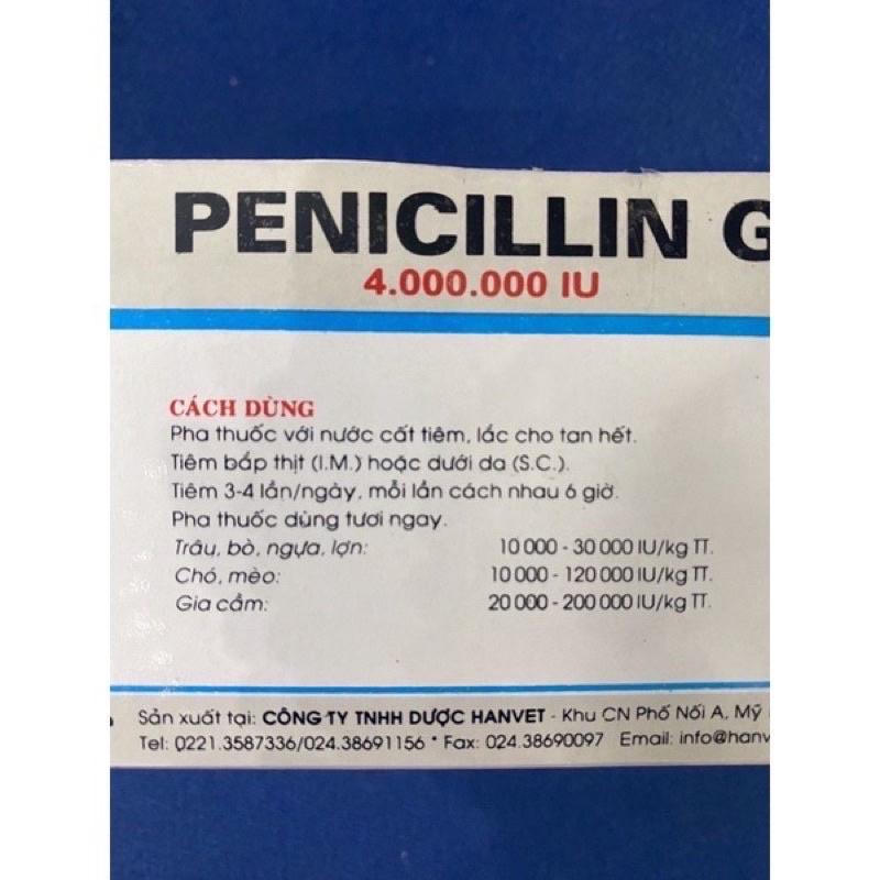 [THÚ Y] 1 lọ PENICILLIN G PENI 4 triệu 4.000.000 IU điều trị bệnh do vi khuẩn gram, đóng dấu, nhiệt thán, uốn ván, mụn nhọt, lở loét dùng cho trâu bò lợn gà chó mèo