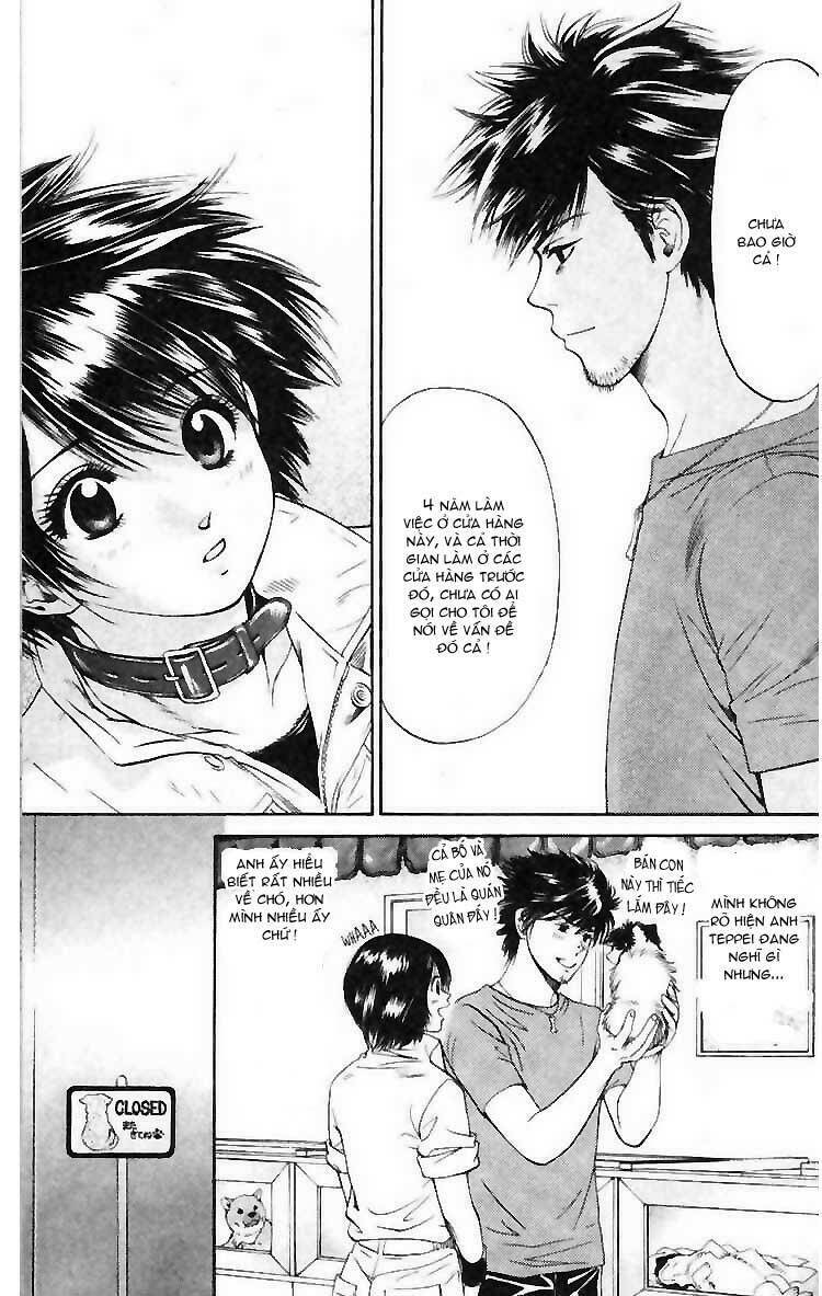 cô nàng yêu chó chapter 4 15