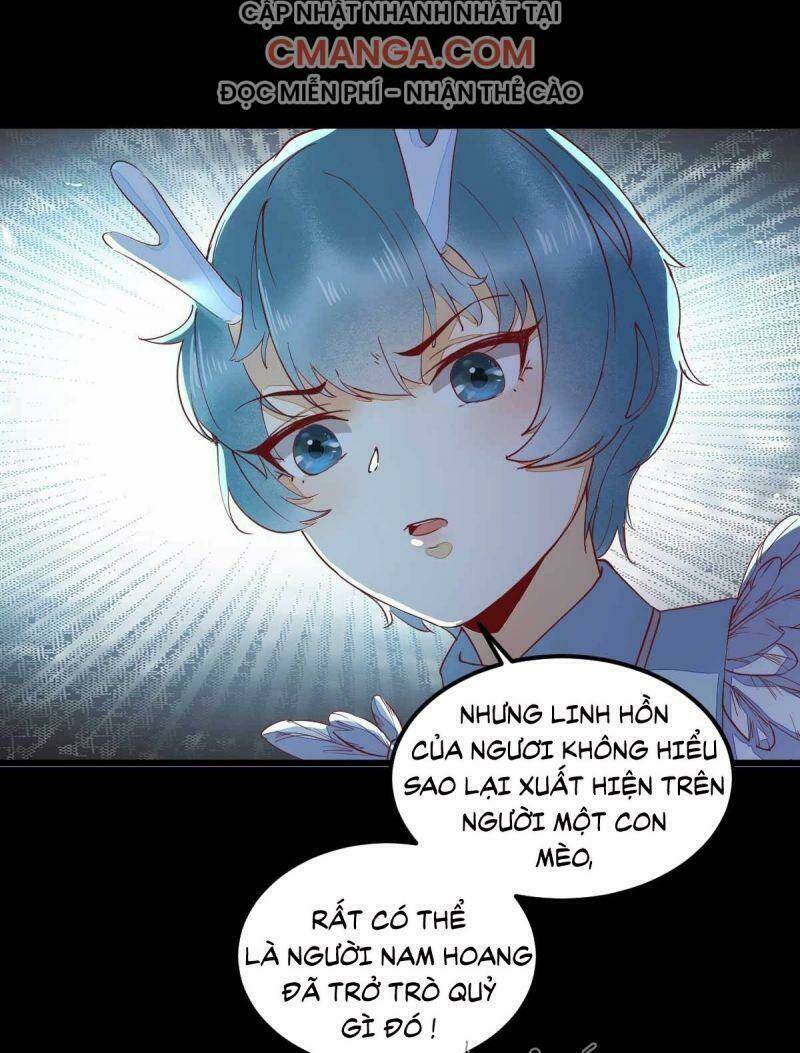 sát thủ vương phi không dễ chọc chapter 43 49