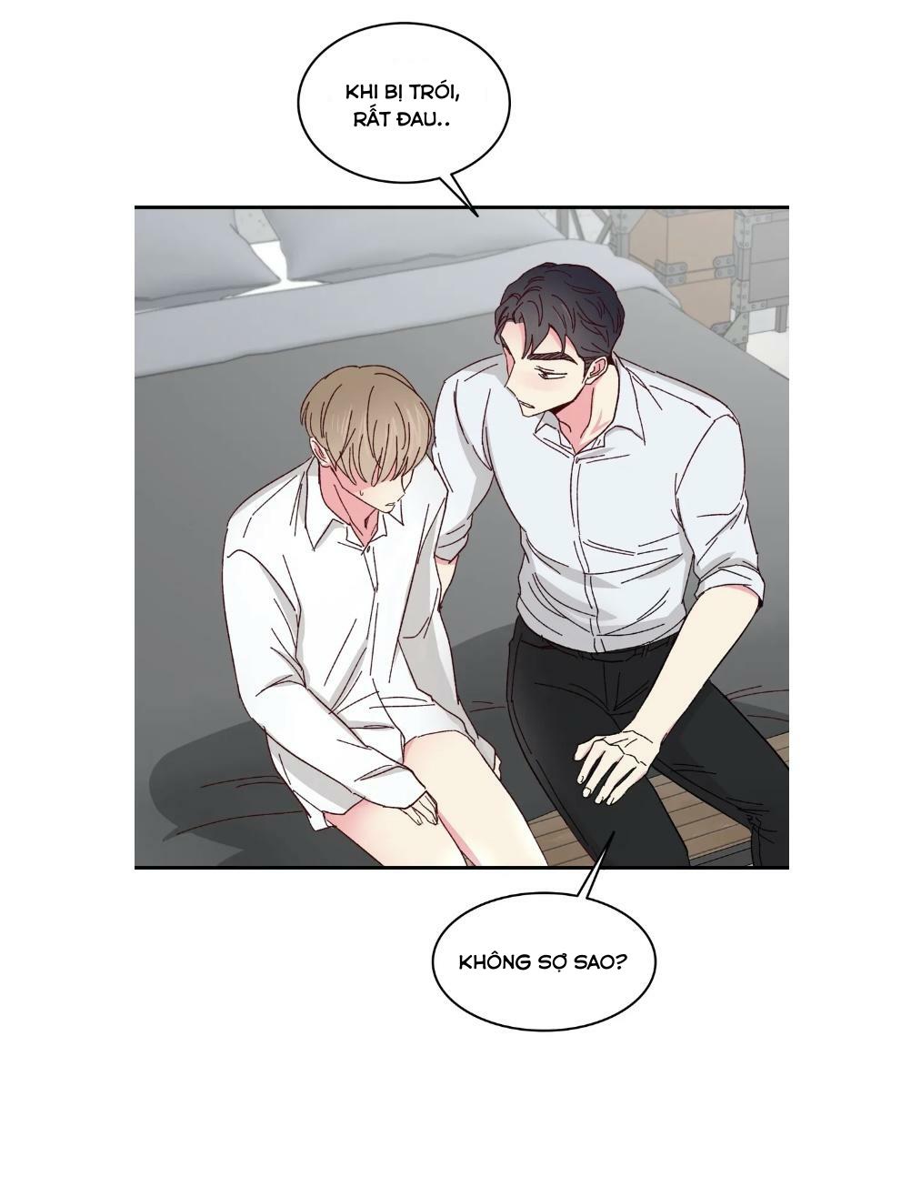 món tráng miệng của sếp tổng chapter 59 40