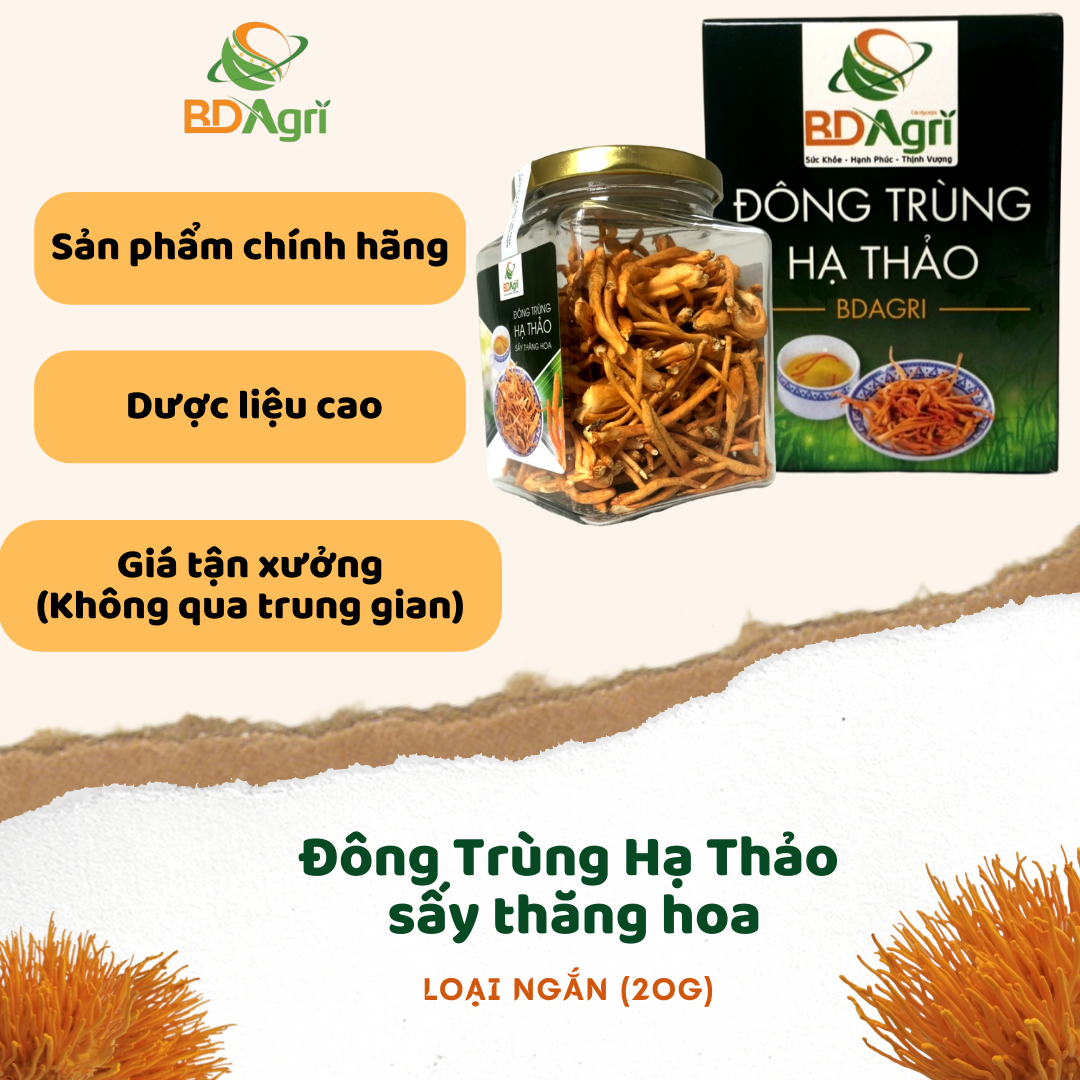 Nấm Đông Trùng Hạ Thảo An Gia Sấy Thăng Hoa Loại Ii Lọ 20G