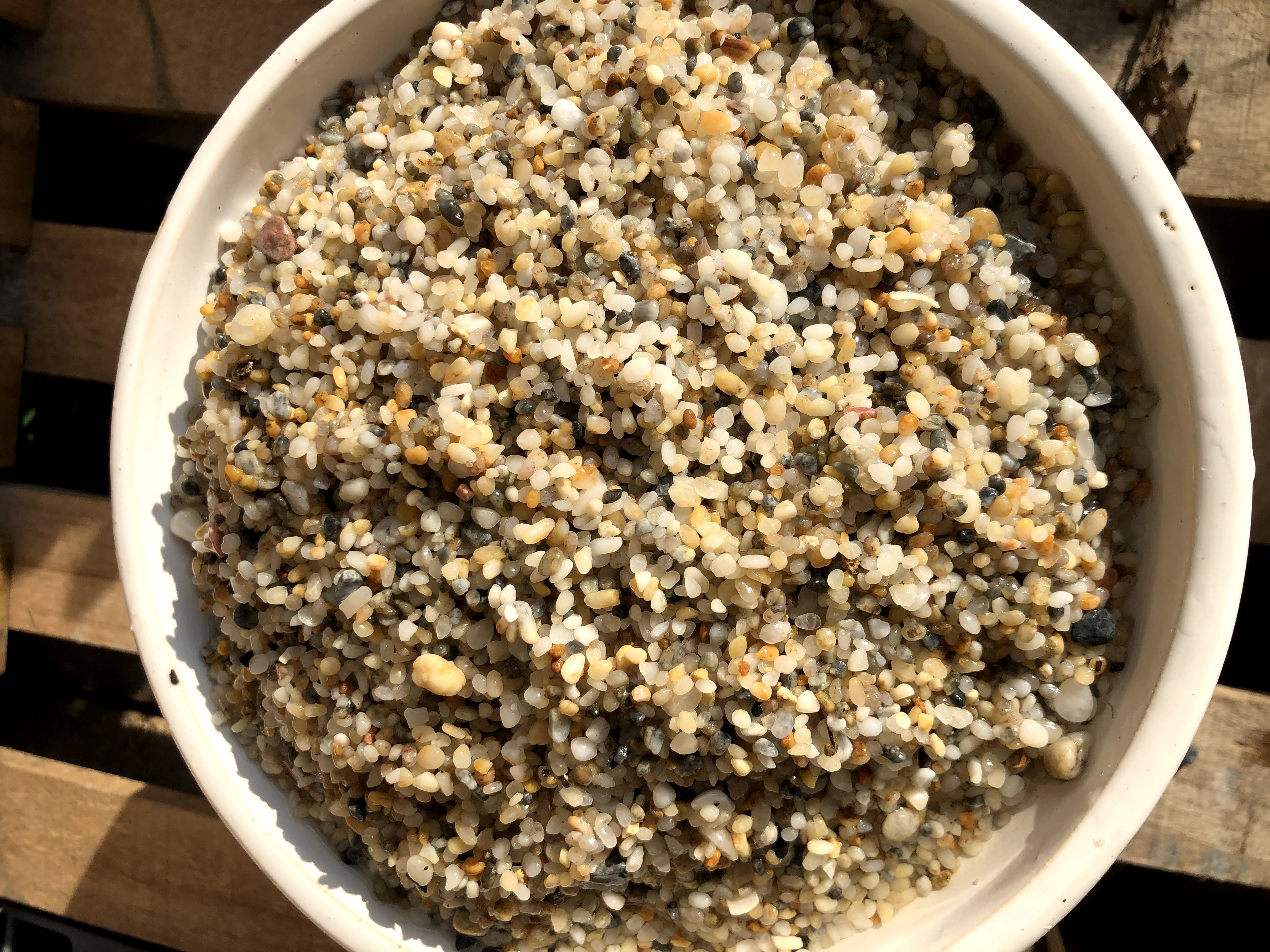 5 kilogam đá trang trí cây trồng - chậu nuôi cá SS4