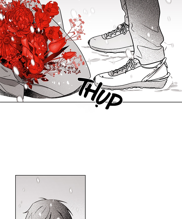 bữa tiệc của những đóa hoa chapter 26 81