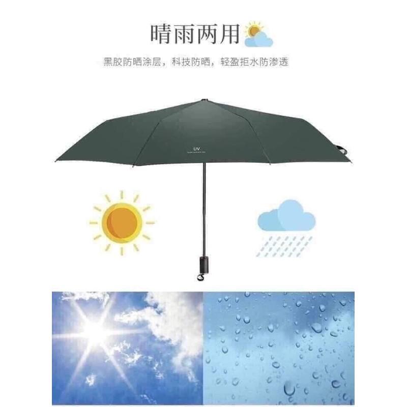 Ô các loại: ô gấu, ô uv, ô hoa cúc