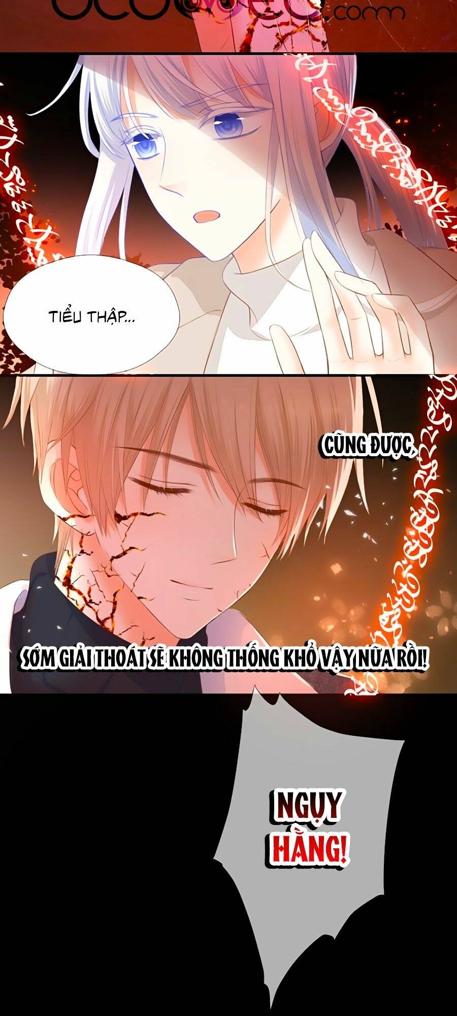 đóa hoa chớm nở chapter 74 22