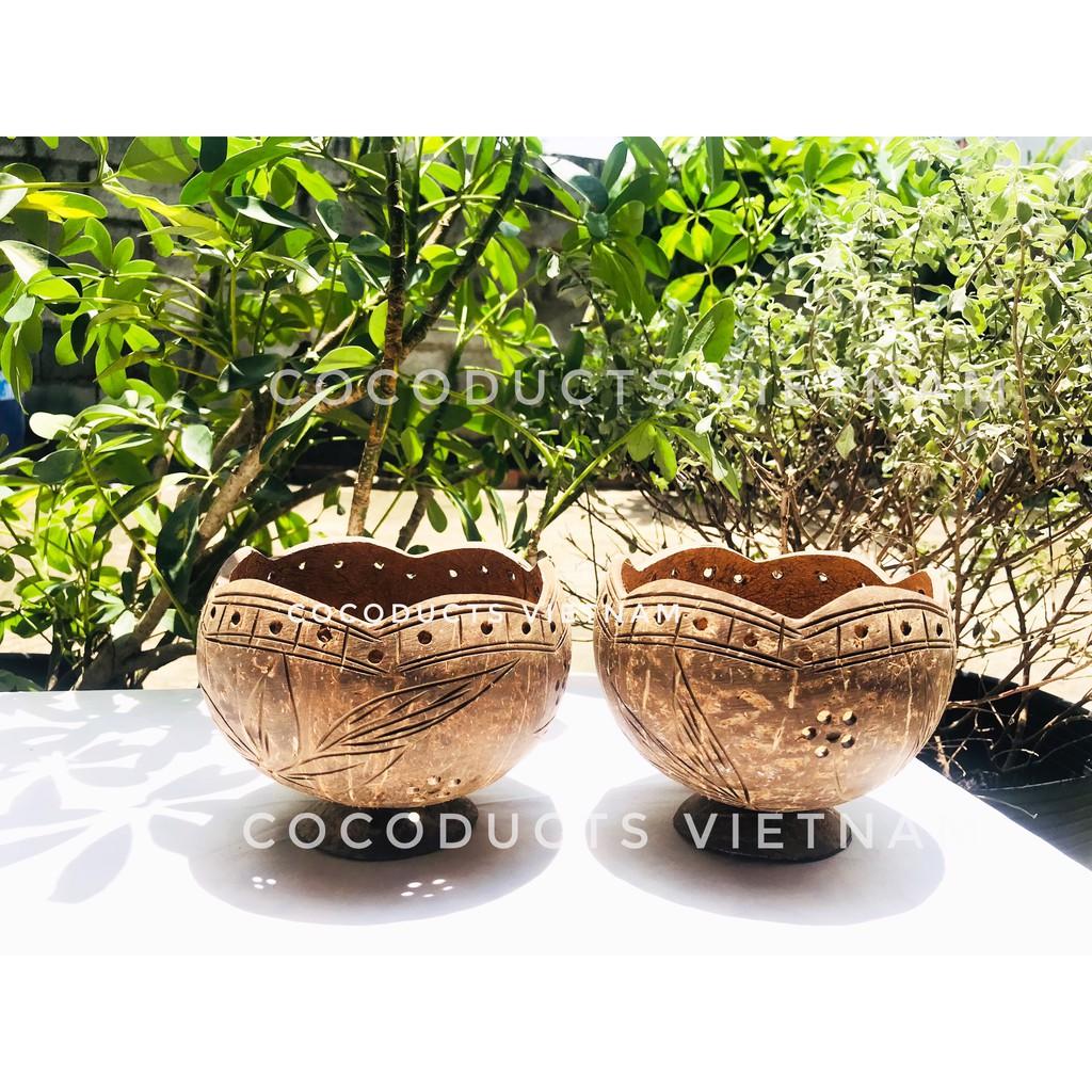 Vỏ gáo dừa trồng lan xinh xắn cho ban công -sân vườn