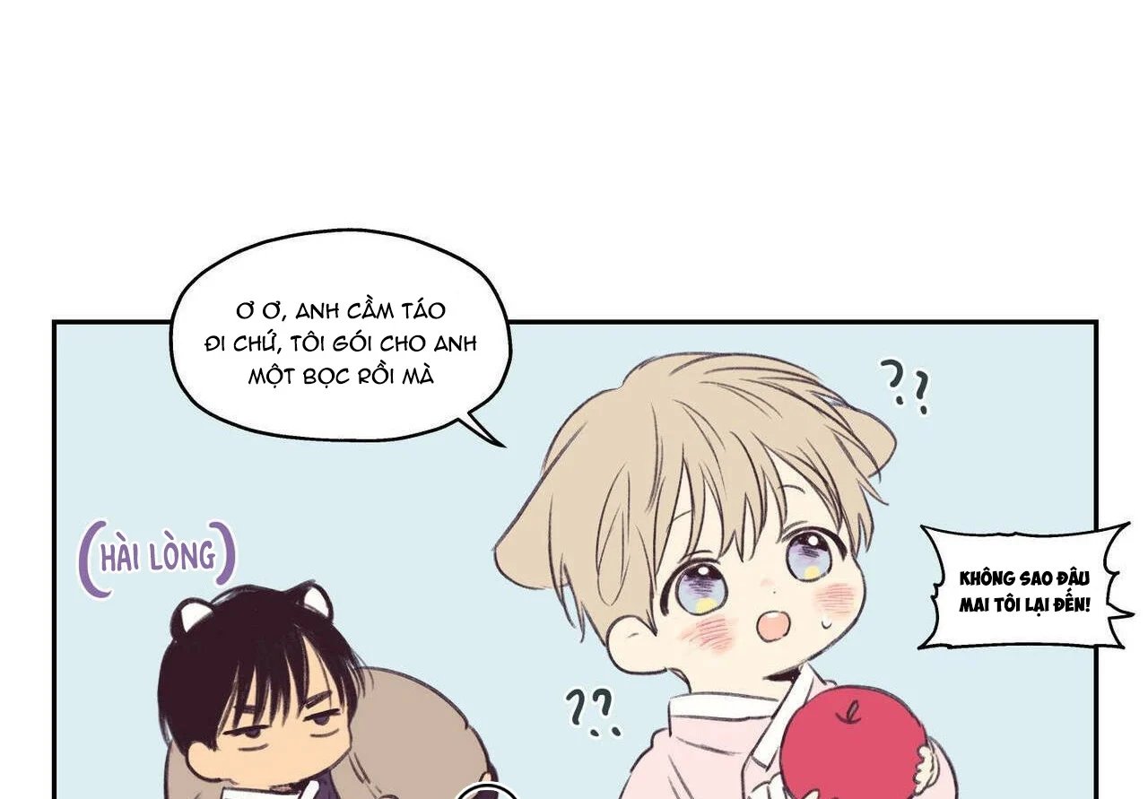 không chốn yêu đương chapter 81 95