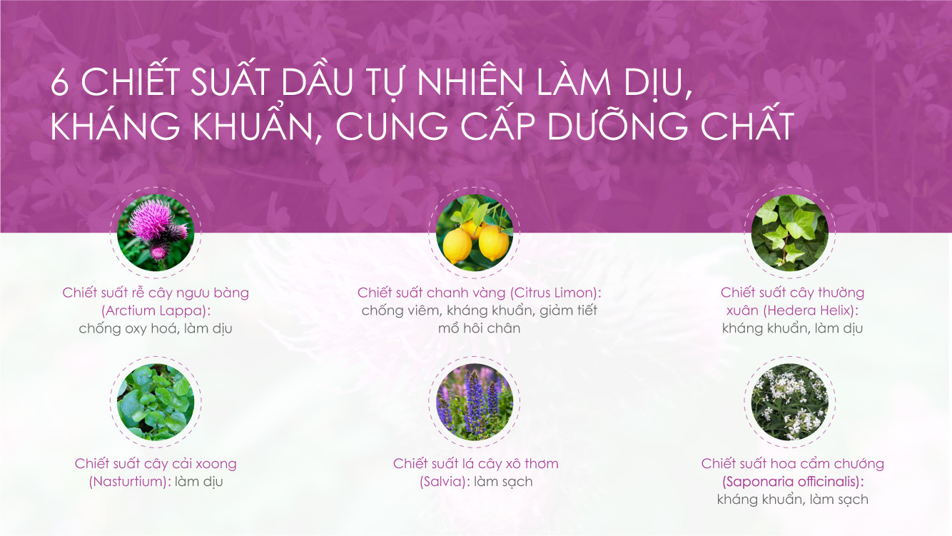 Túi ủ tẩy tế bào chết, dưỡng ẩm chân PERORIN (Lavender) - Nhật Bản - Chính hãng - Hộp 1 túi