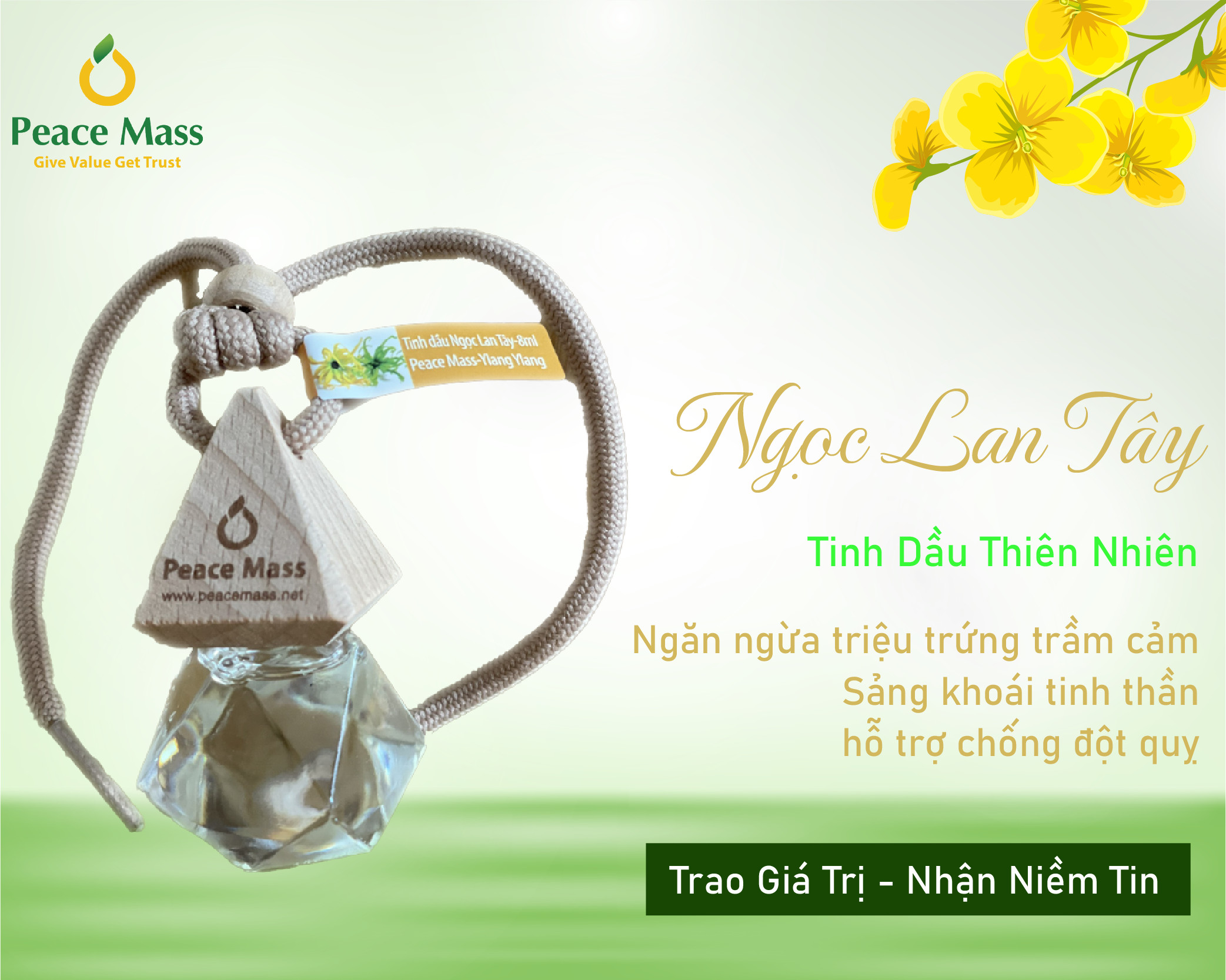 Tinh Dầu Tự Nhiên Peace Mass Ngọc Lan Tây 8ml