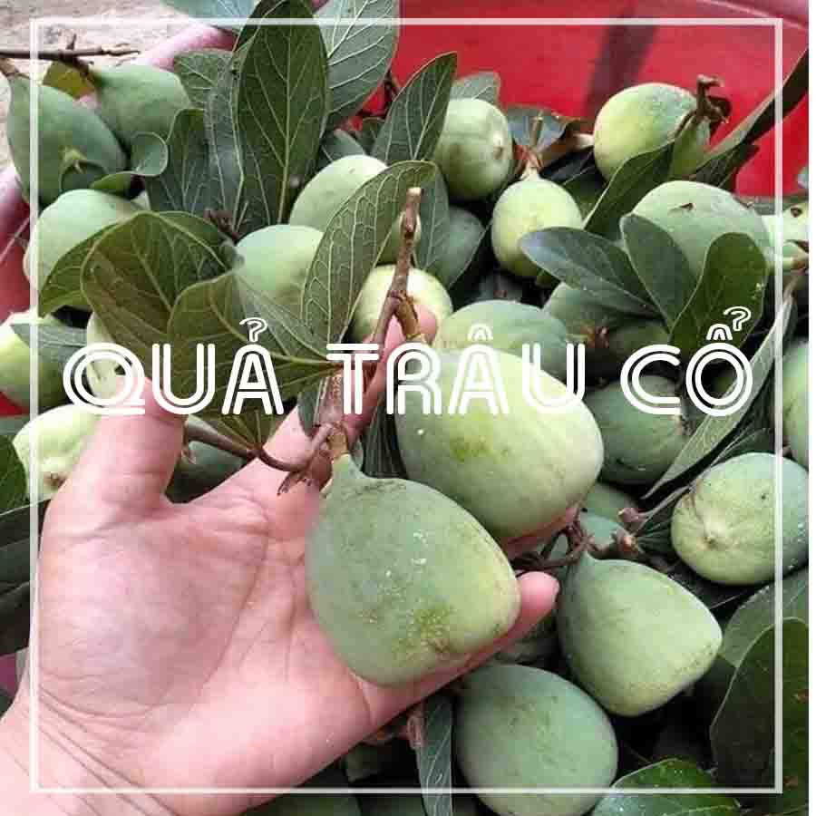 Quả trâu cổ khô 1kg