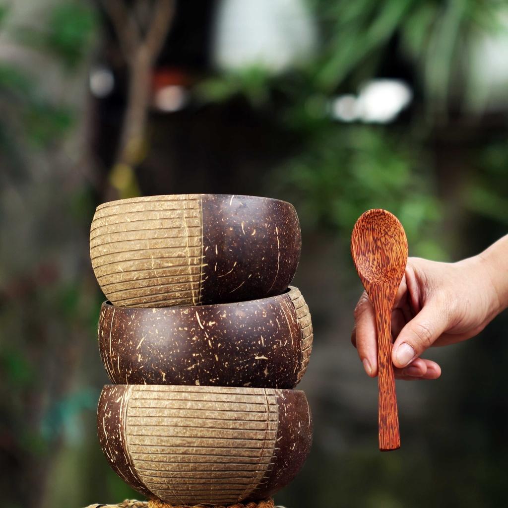 Tô/Chén/Bát gáo dừa hoa văn Apus