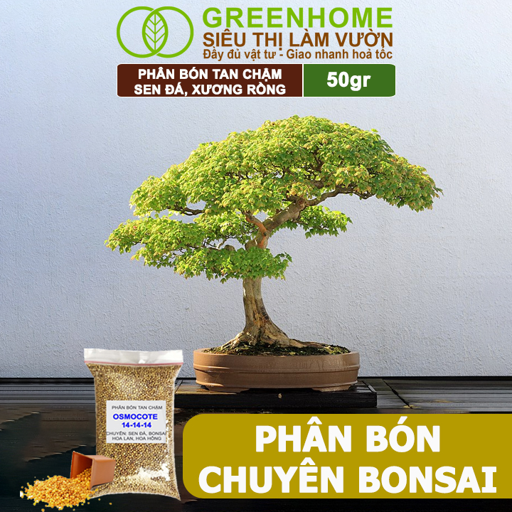 Phân Tan Chậm Greenhome, Oscomote, Bao 50gr, Chuyên Sen Đá, Hoa Hồng, Xương Rồng, Bonsai, GIúp Sen Cứng, Giữ Form, Lên Màu