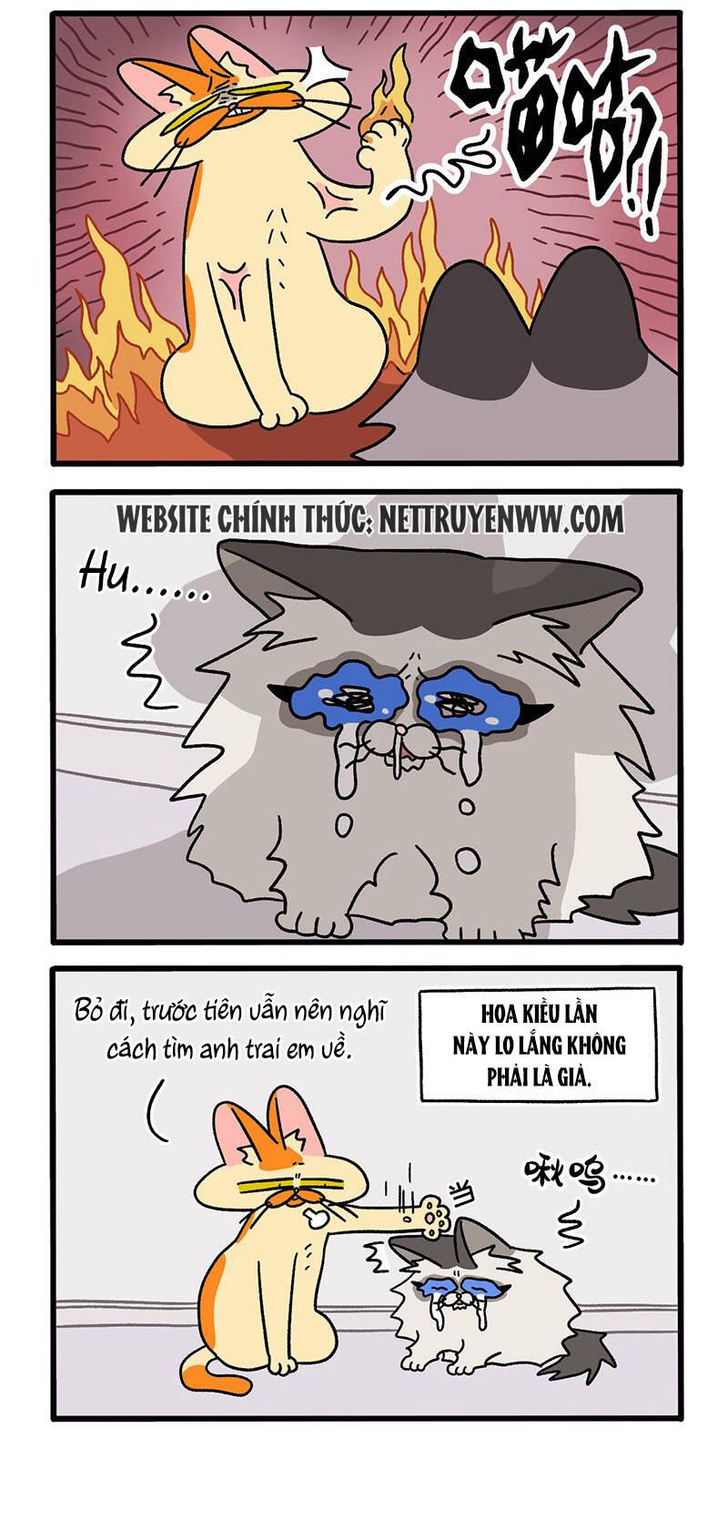 a mãn và mạch trà chapter 39.1 2