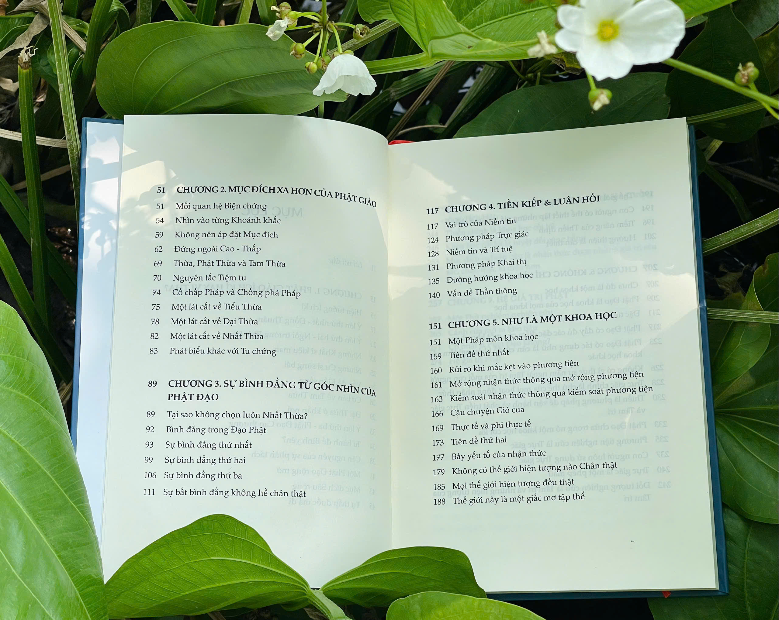 Sách PHẬT ĐẠO MỘT KHOA HỌC VÀ HƠN THẾ - Tác giả Trần Thế Công - bìa cứng