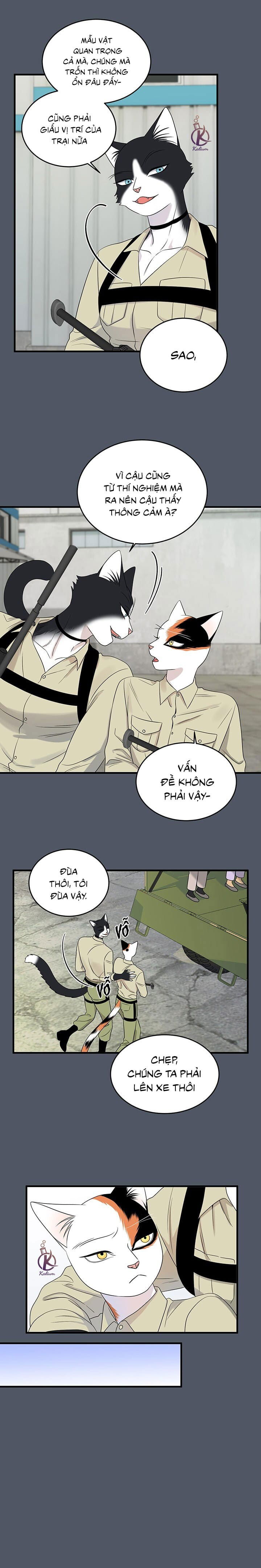 dự án xanh chapter 42 9