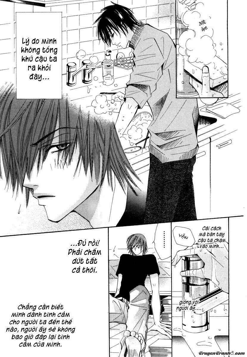 sự lãng mạn thuần khiết chapter 3 19