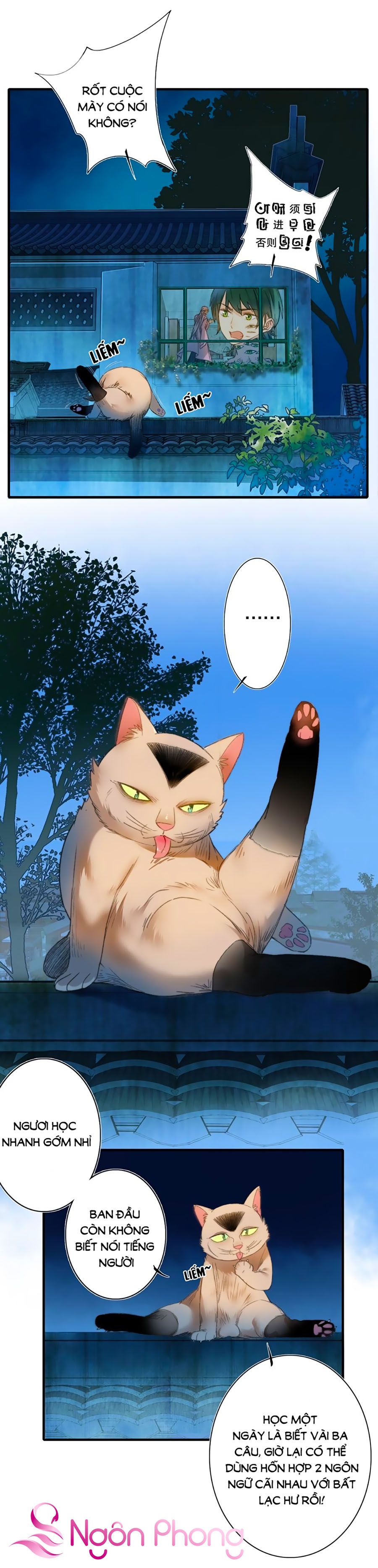 Lệnh Cấm Nghị Tộc 2 Ẩn Diện Trấn chapter 68 - Trang 4