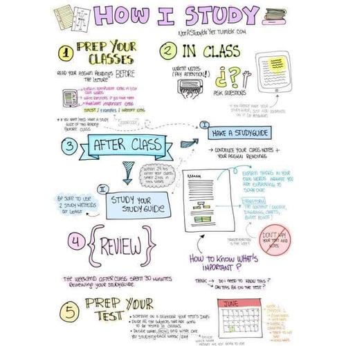 Sách Combo Sketchnote  - Alphabooks - BẢN QUYỀN