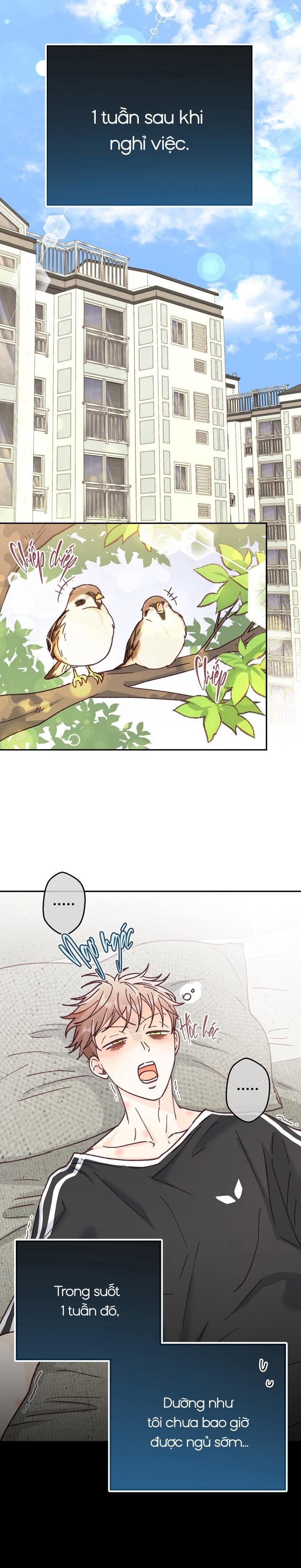 bạn trai vô song của tôi Chapter 35 NT3 H+ 16