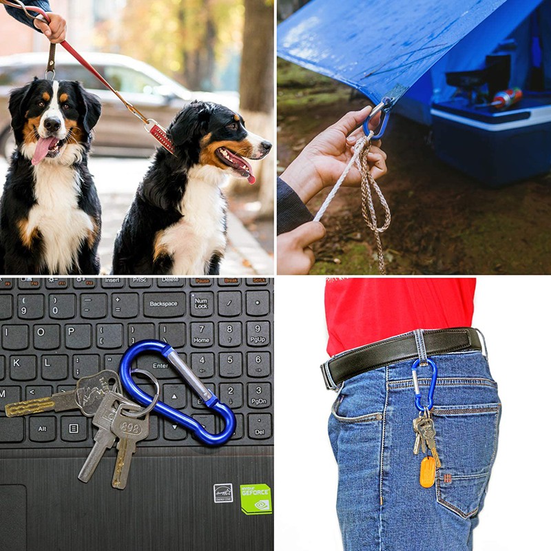 Combo 5 Móc Khóa Carabiner Chữ D Bằng Nhôm Đa Ứng Dụng