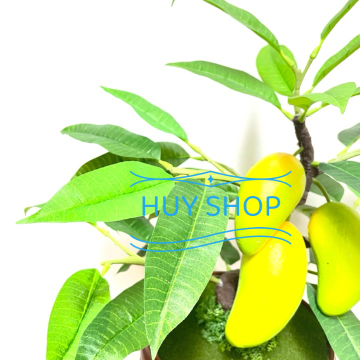 CHẬU CÂY TRÁI XOÀI NHÂN TẠO SỐ 1 TRANG TRÍ NHÀ CỬA