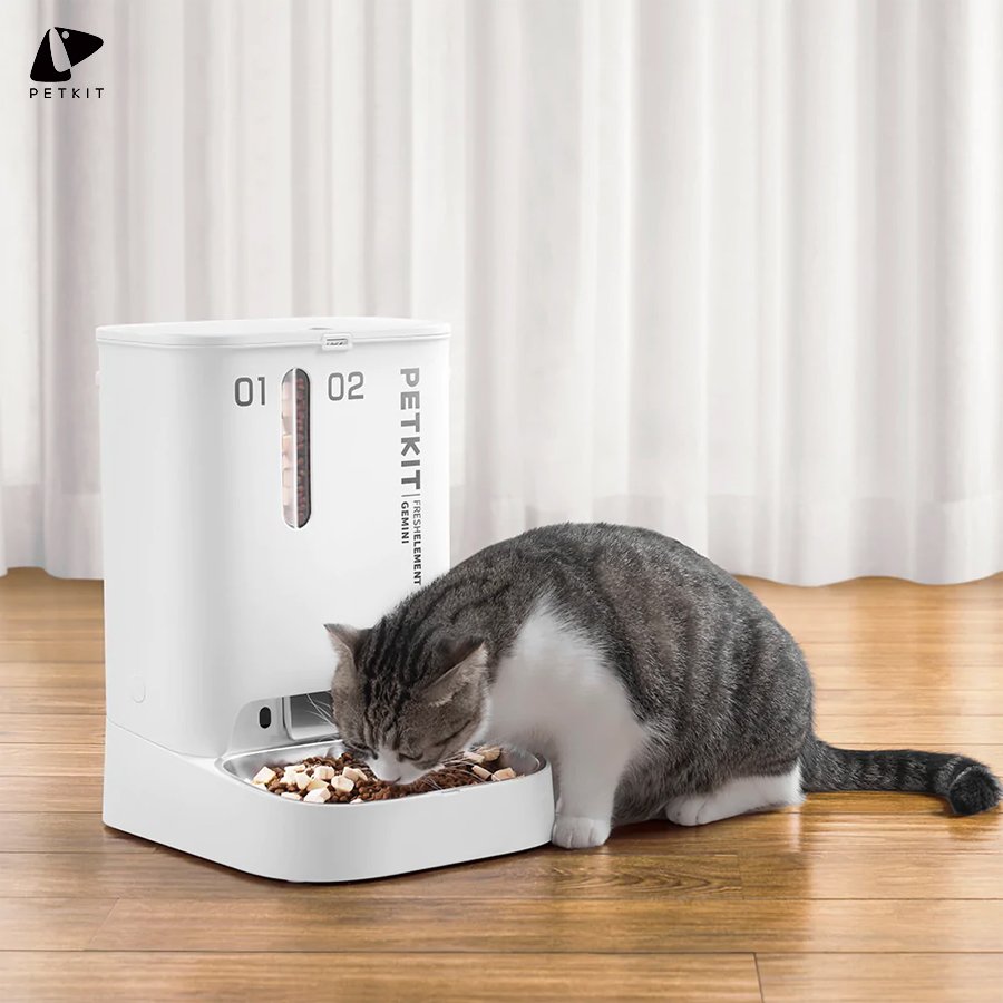 Máy cho ăn tự động Petkit YumShare with Camera kết nối app thông minh