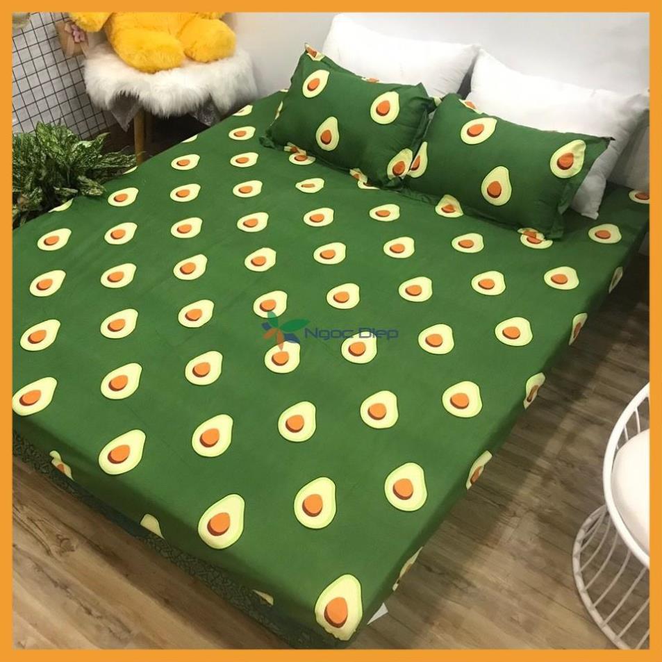 Set vỏ chăn ga gối cotton poly mẫu quả bơ m2, m6, m8, 2m2