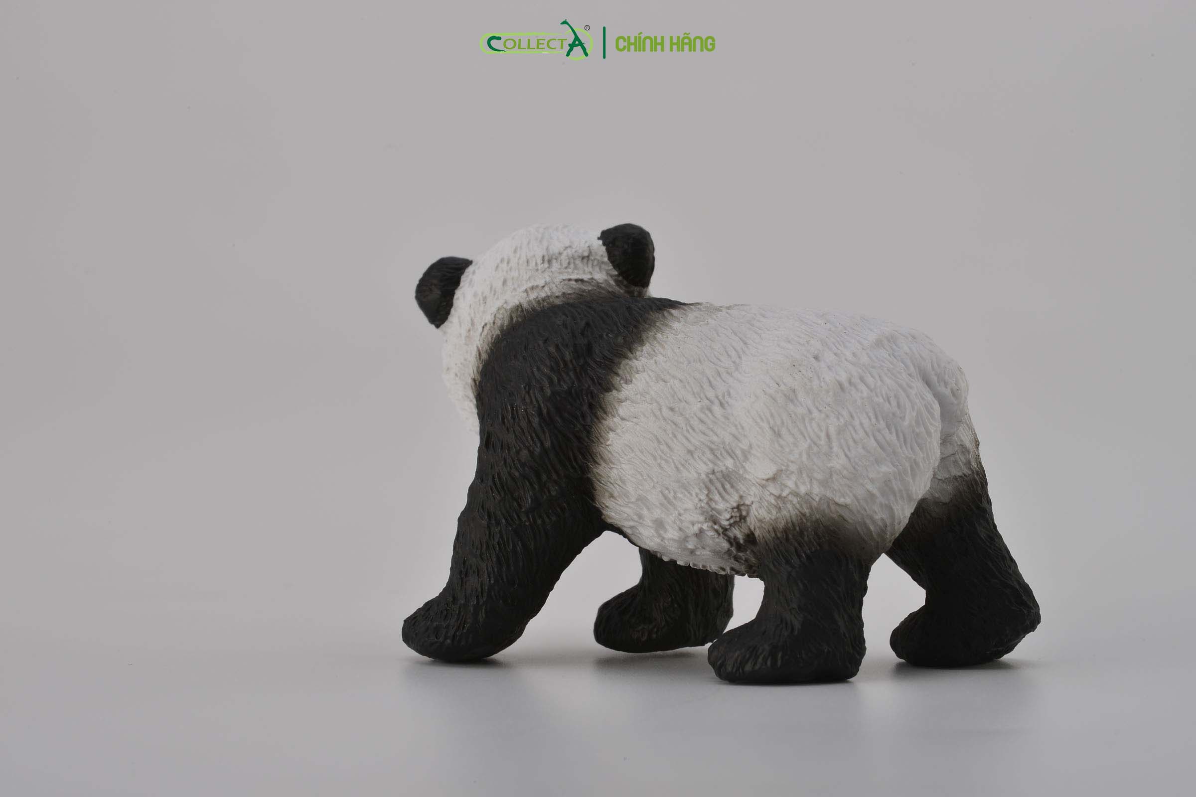 Mô hình thu nhỏ: Gấu Trúc con - Giant Panda Cub - Standing, hiệu: CollectA, mã HS 9651221 - Chất liệu an toàn cho trẻ - Hàng chính hãng