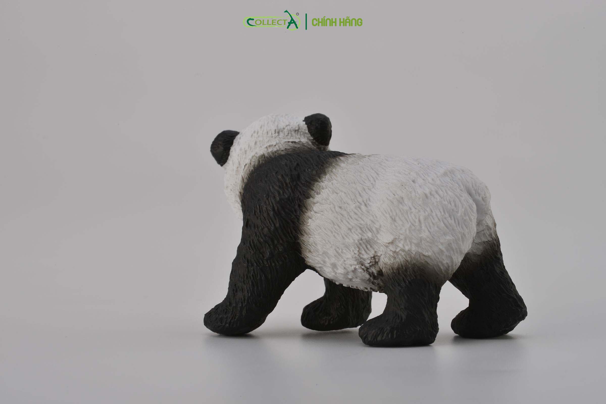 Mô hình thu nhỏ: Gấu Trúc con - Giant Panda Cub  - Standing, hiệu: CollectA, mã HS 9651221[88167] -  Chất liệu an toàn cho trẻ - Hàng chính hãng