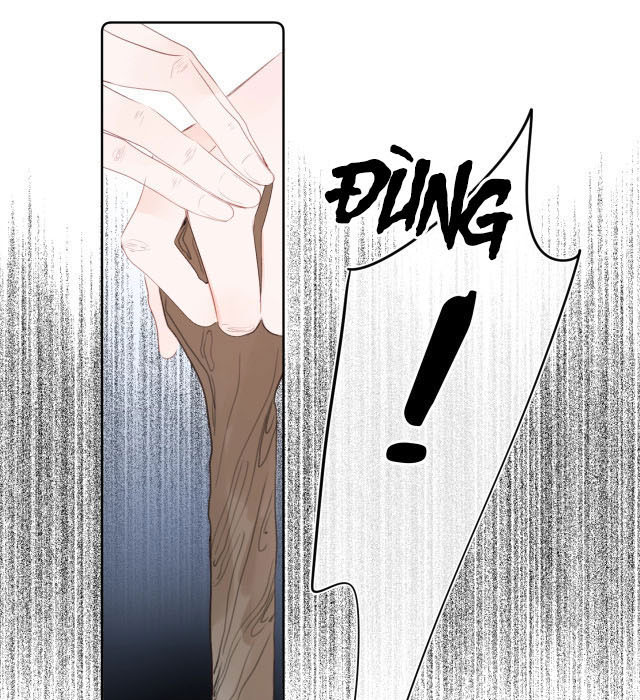 đừng khóc chapter 49 47