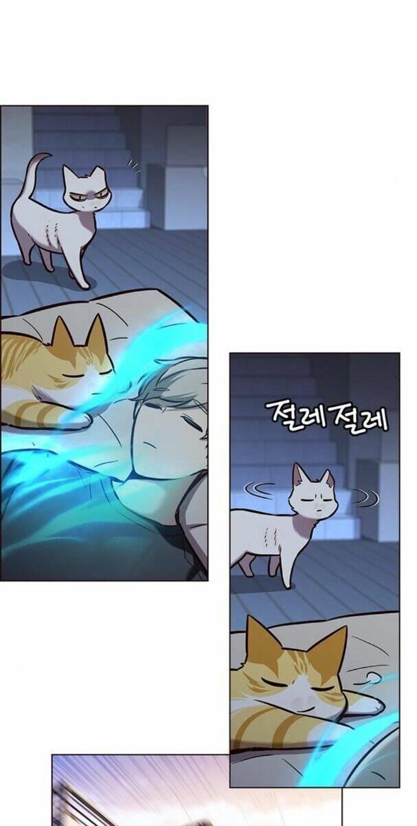 biến thân thành mèo chapter 174 55