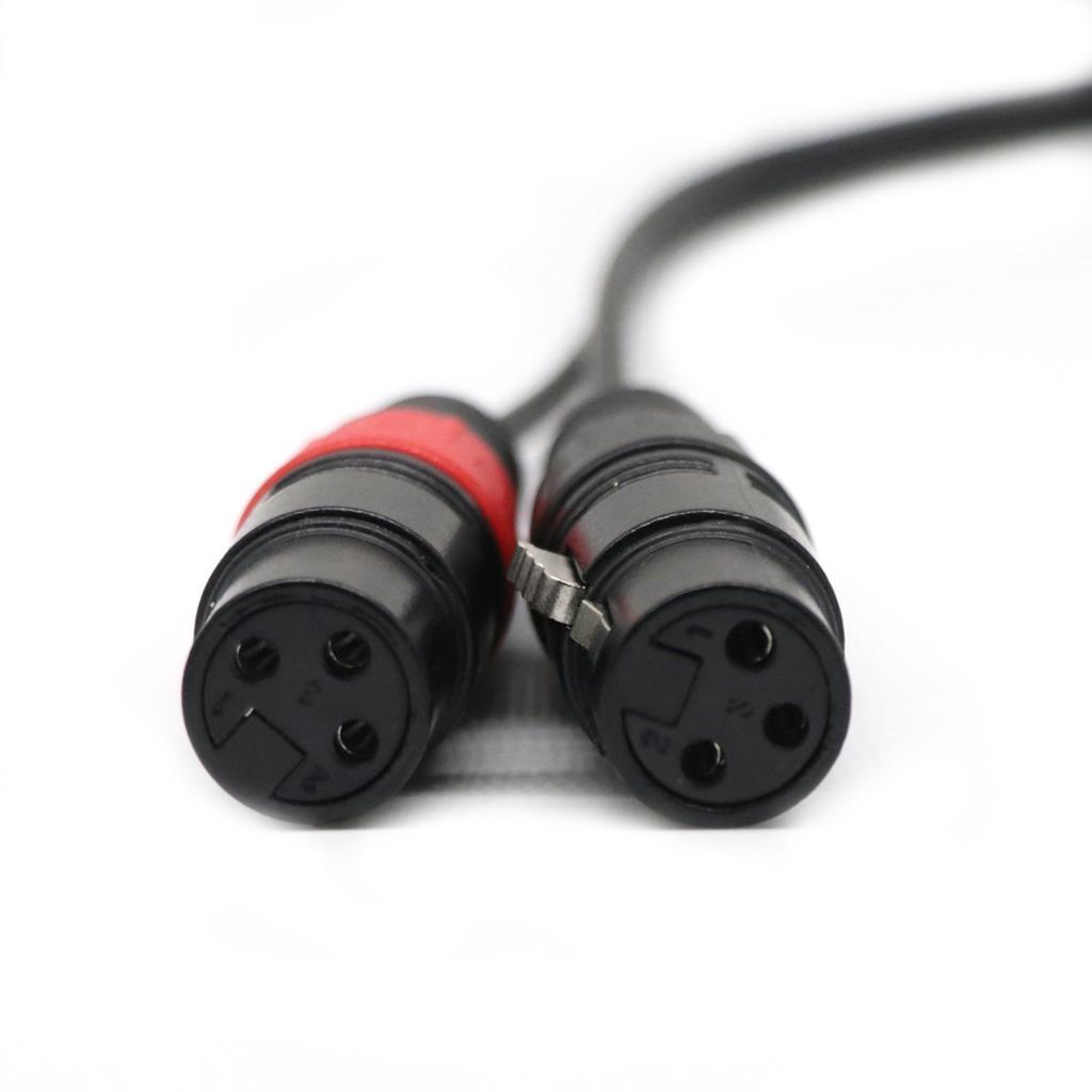 2 Pieces 3.5mm  1/8'' TRS Stereo Male to 2 Port Dual XLR Female Adapter Cable Cord Connecting for iPhone, iPad, or any 3.5mm Audio Output to a Powered Speaker