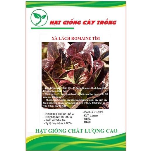 Hạt giống xà lách ROMAINE đỏ CT97 - Gói 0.2gram