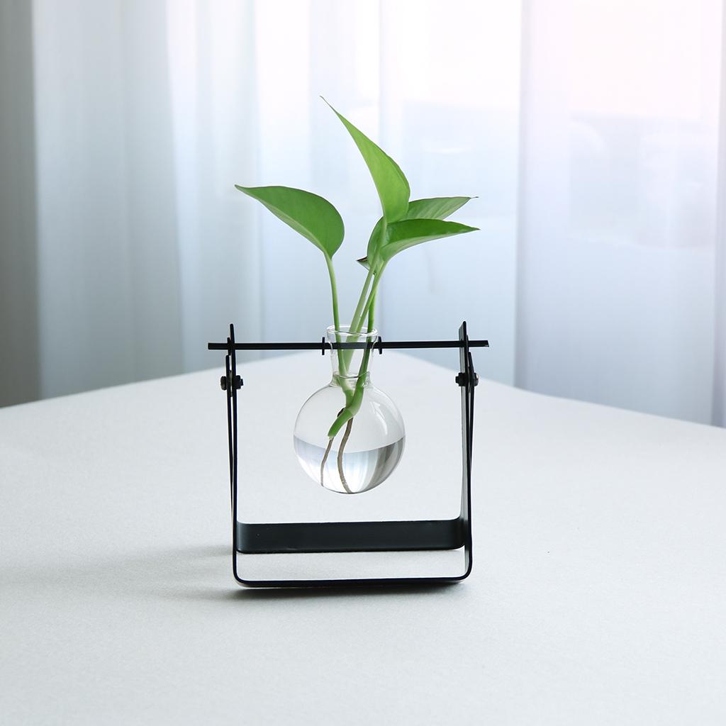 Ball Shape Glass Flower vase Hydroponic Bottle Terrarium With Iron Stand