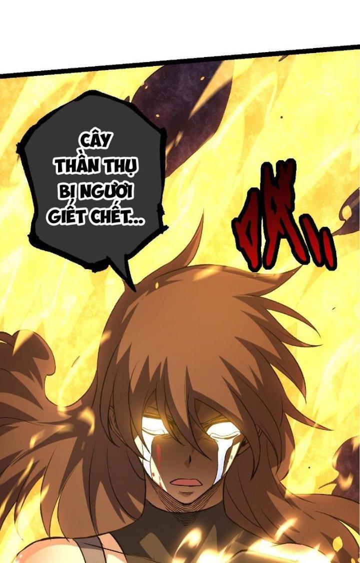 từ cây cổ thụ bắt đầu tiến hóa chapter 65 30