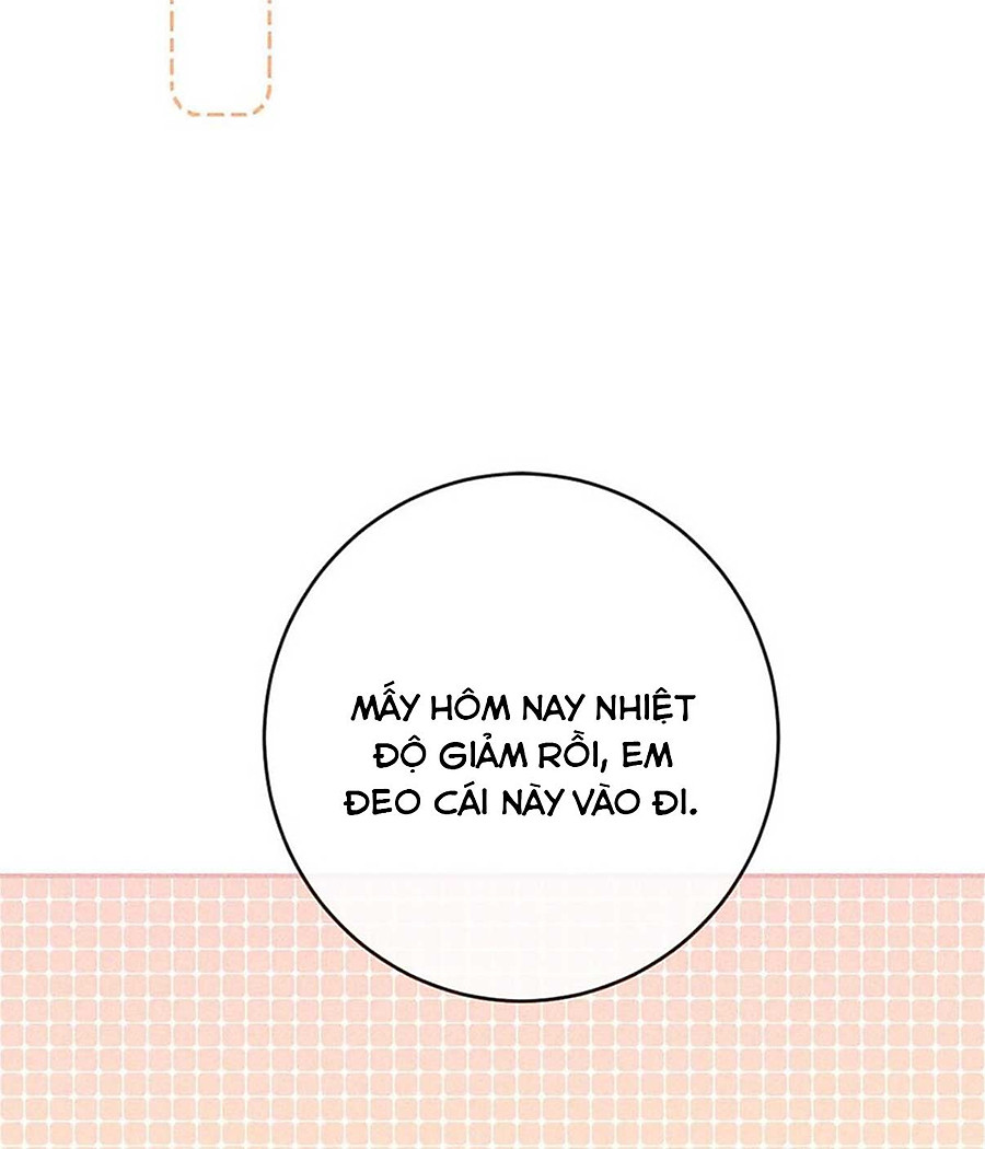 nịch tửu chapter 87.1 48