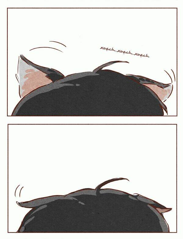 a, thấy đôi tai rồi nhe chapter 7 4